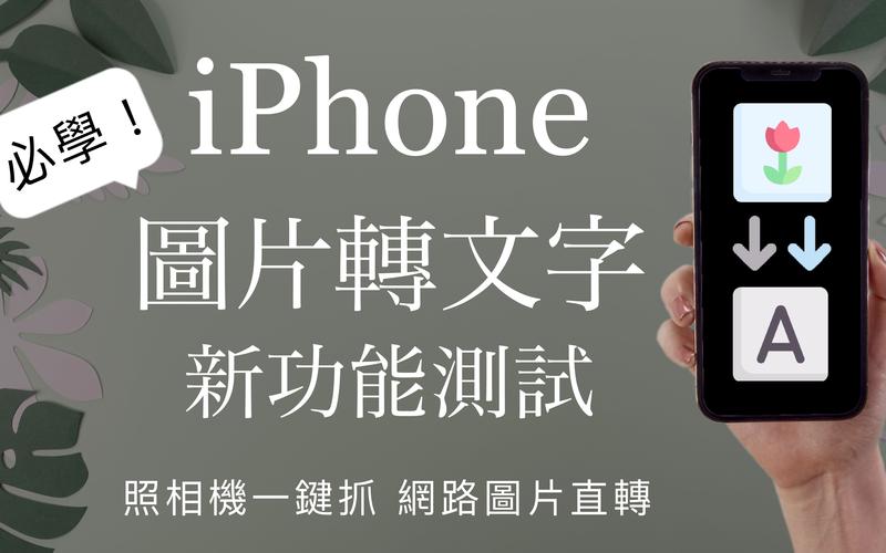文字之家：创意的摇篮与心灵的栖息地